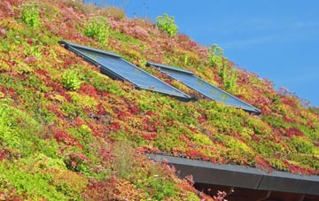 Wearde living roof systems